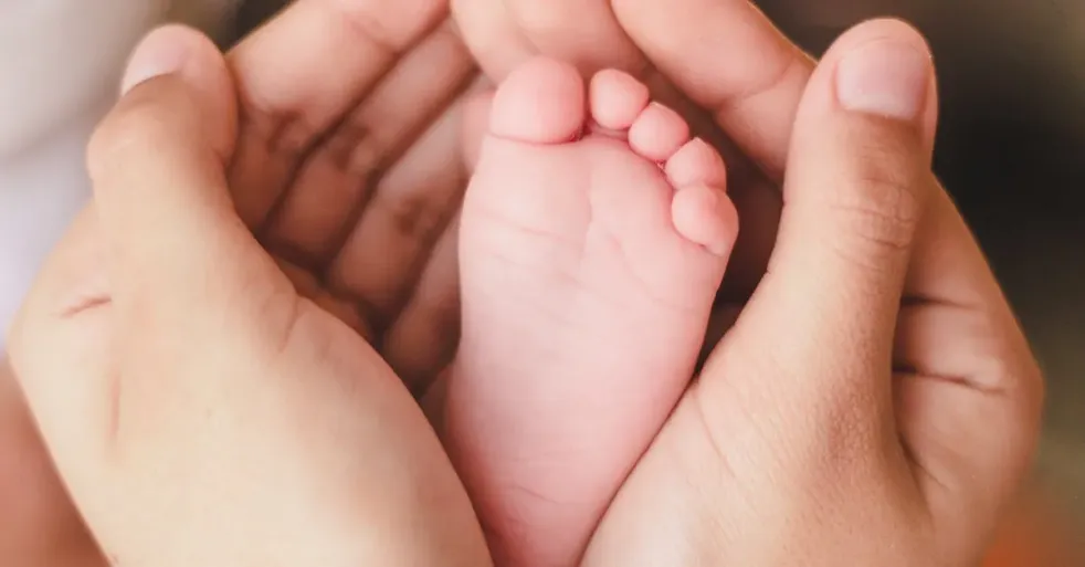 Side by Side Comparison of Burt's Bees Hand Skin Care and Baby Foot Peel Mask